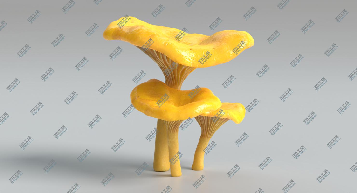 images/goods_img/202105072/Chanterelle Mushrooms/4.jpg